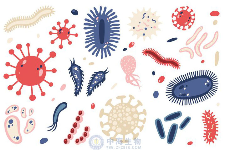 微生物是什么？哪些營養(yǎng)物質(zhì)促進微生物生長繁殖？